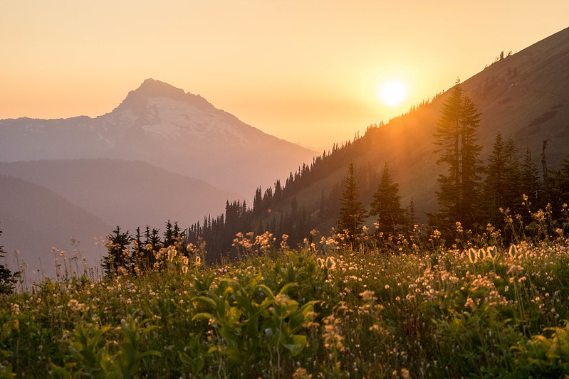 sun setting over the mountains